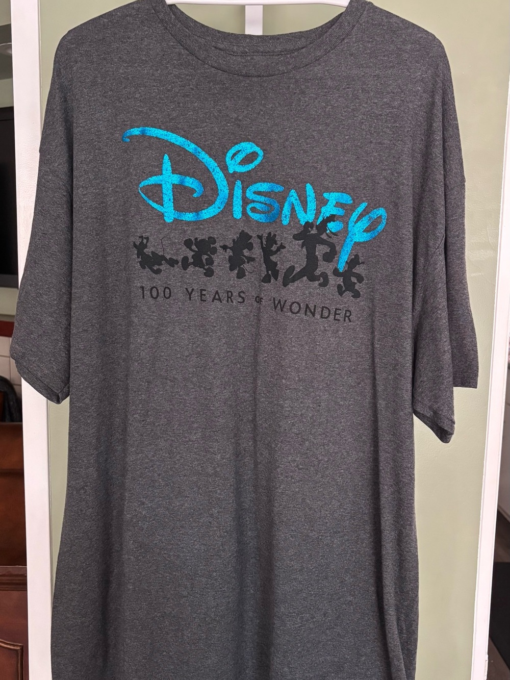 Disney Men's- woman’s Gray '100 Years of Wonder' T-Shirt w/blue logo 2x